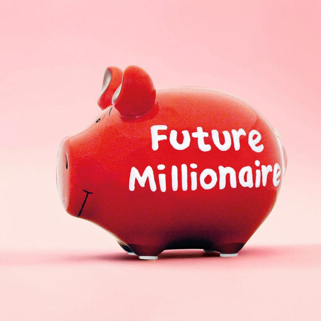 Sparschwein "Future Millionaire" - Klein