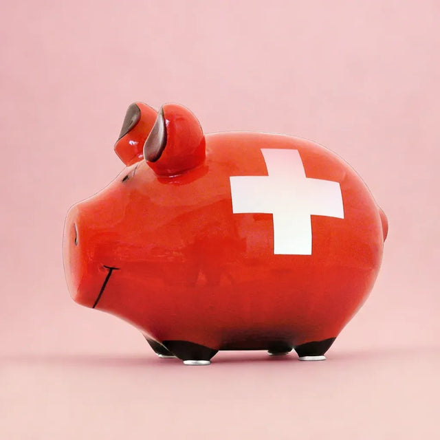 Sparschwein Schweizer Bank - Klein