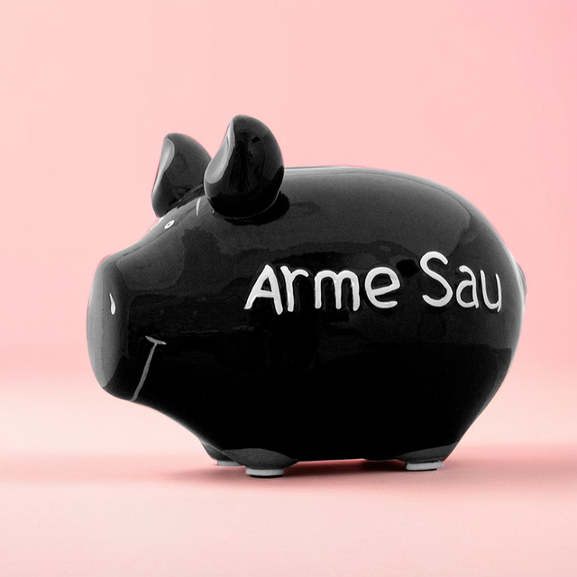 Sparschwein "Arme Sau" - Klein