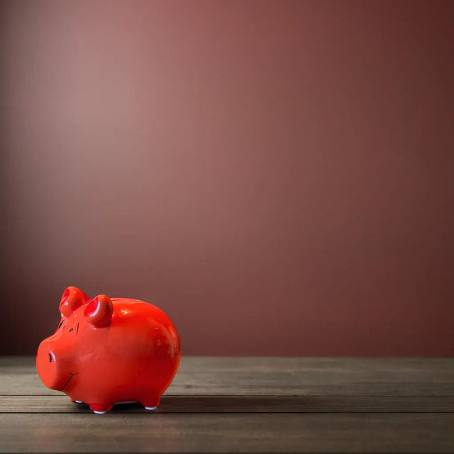 Sparschwein Basic Rot - Klein