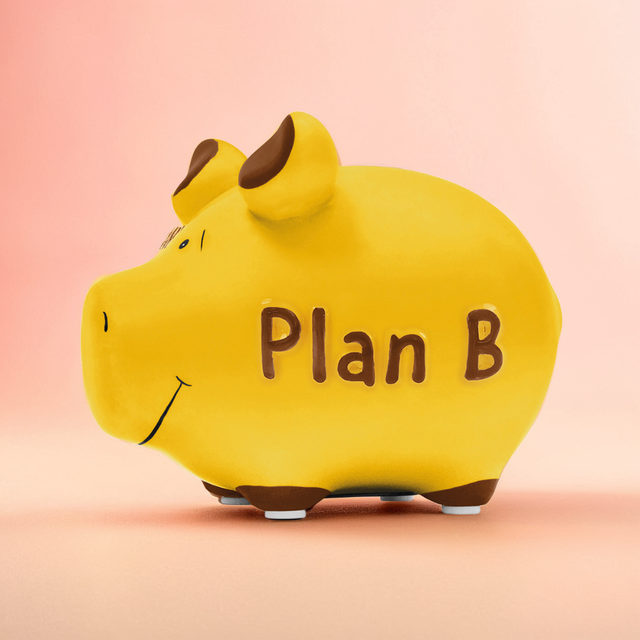 Sparschwein "Plan B" - Klein