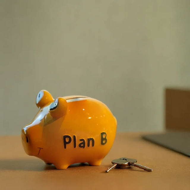 Sparschwein "Plan B" - Klein