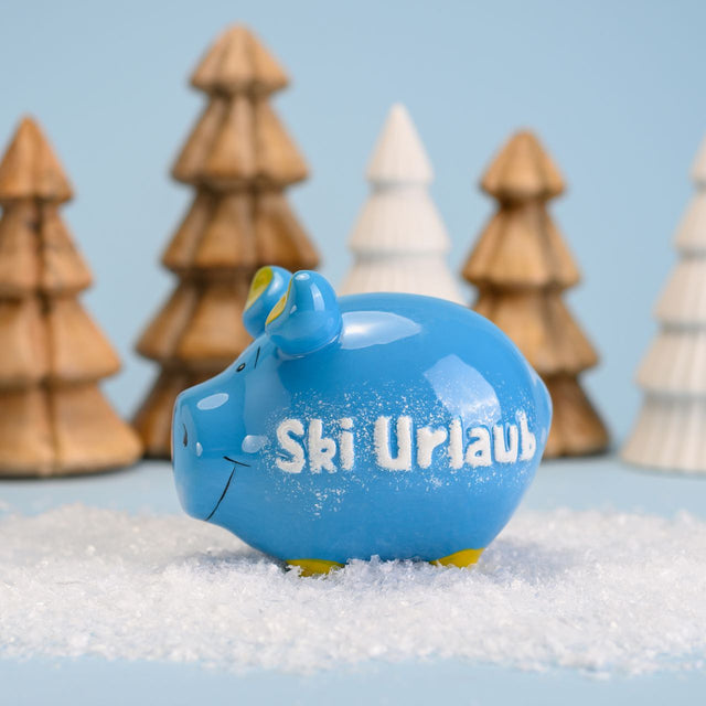 Sparschwein "Ski Urlaub" - Klein